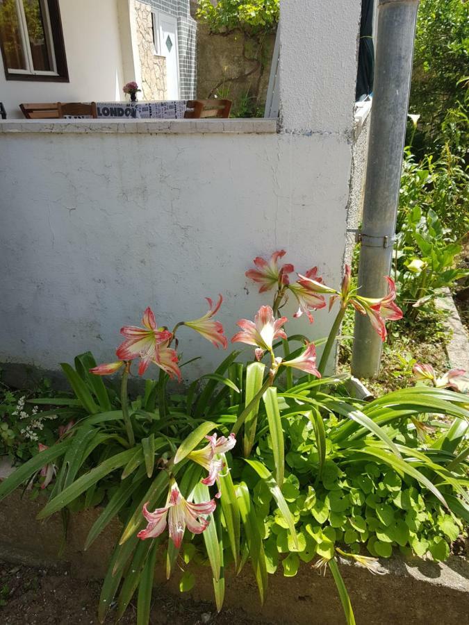 לופאר Apartment Valeria מראה חיצוני תמונה